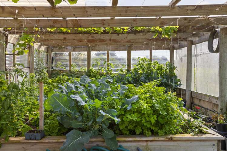 21 Grace James Road Pukekohe_24