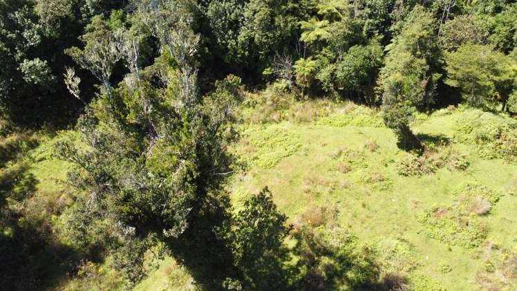 254 Doughboy Road Kokatahi_69