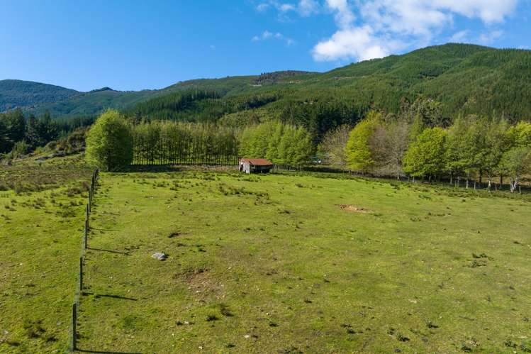 1025 Wakamarina Road Havelock_14