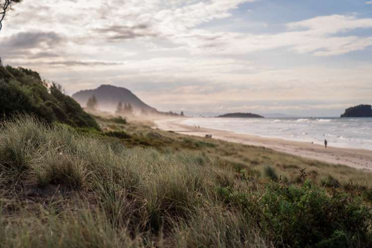4/281 Dp Maunganui Road Mount Maunganui_12