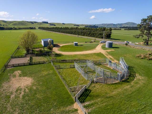 White Rock Road Martinborough_2