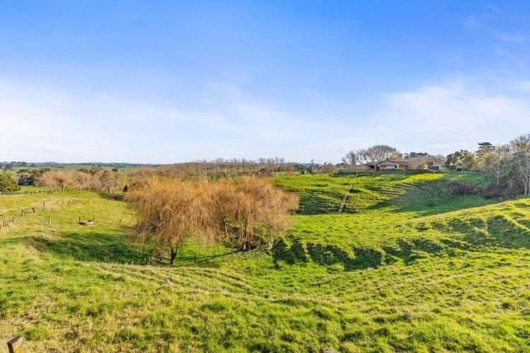 673 HETHERINGTON ROAD Rotongaro_21