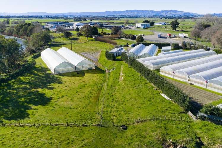 7 Campbell Road Aorangi_7