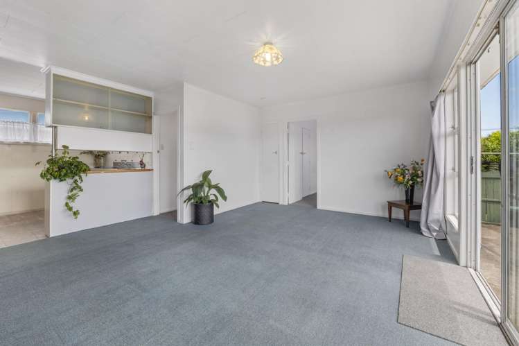 31B Ballance Street Lower Vogeltown_1