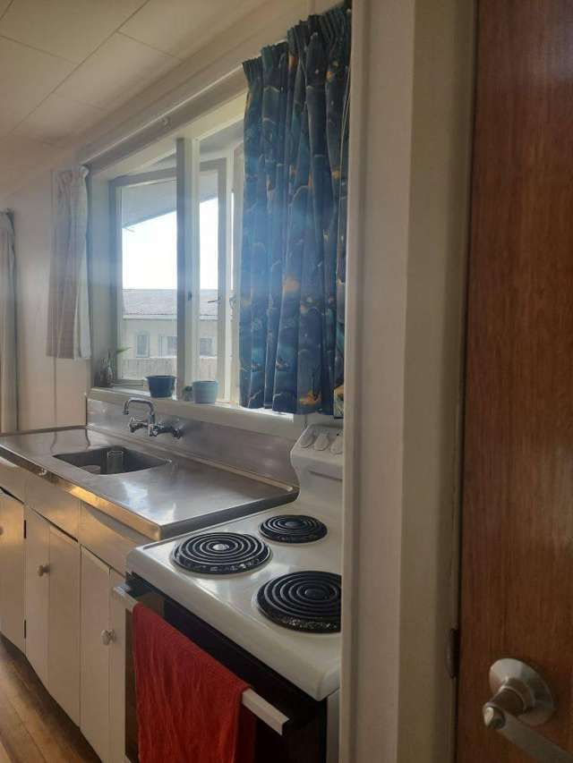 21 Ruru Crescent Putaruru_3