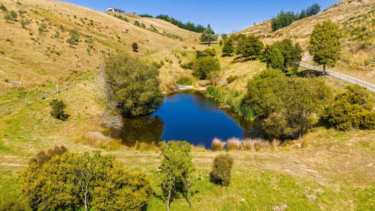 669 State Highway 63 Renwick_12