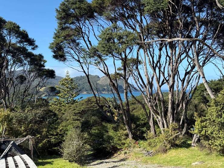 The run-down cottage on Blind Bay Road, on Great Barrier Island, was sold “as is, where is”. Photo / Supplied