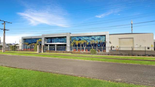 Strategic industrial asset 