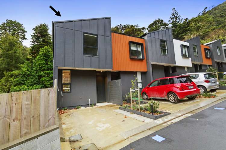 1 Rato Rise Waiwhetu_12