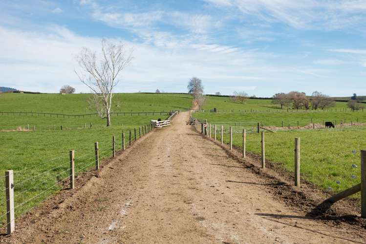 1 Gunn Road Matamata_15