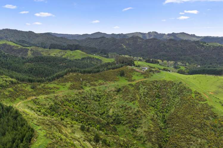 69B Otonga Valley Road Raglan_17