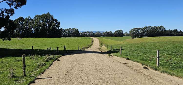 465 Adam Fleming Road Crossans Corner_23