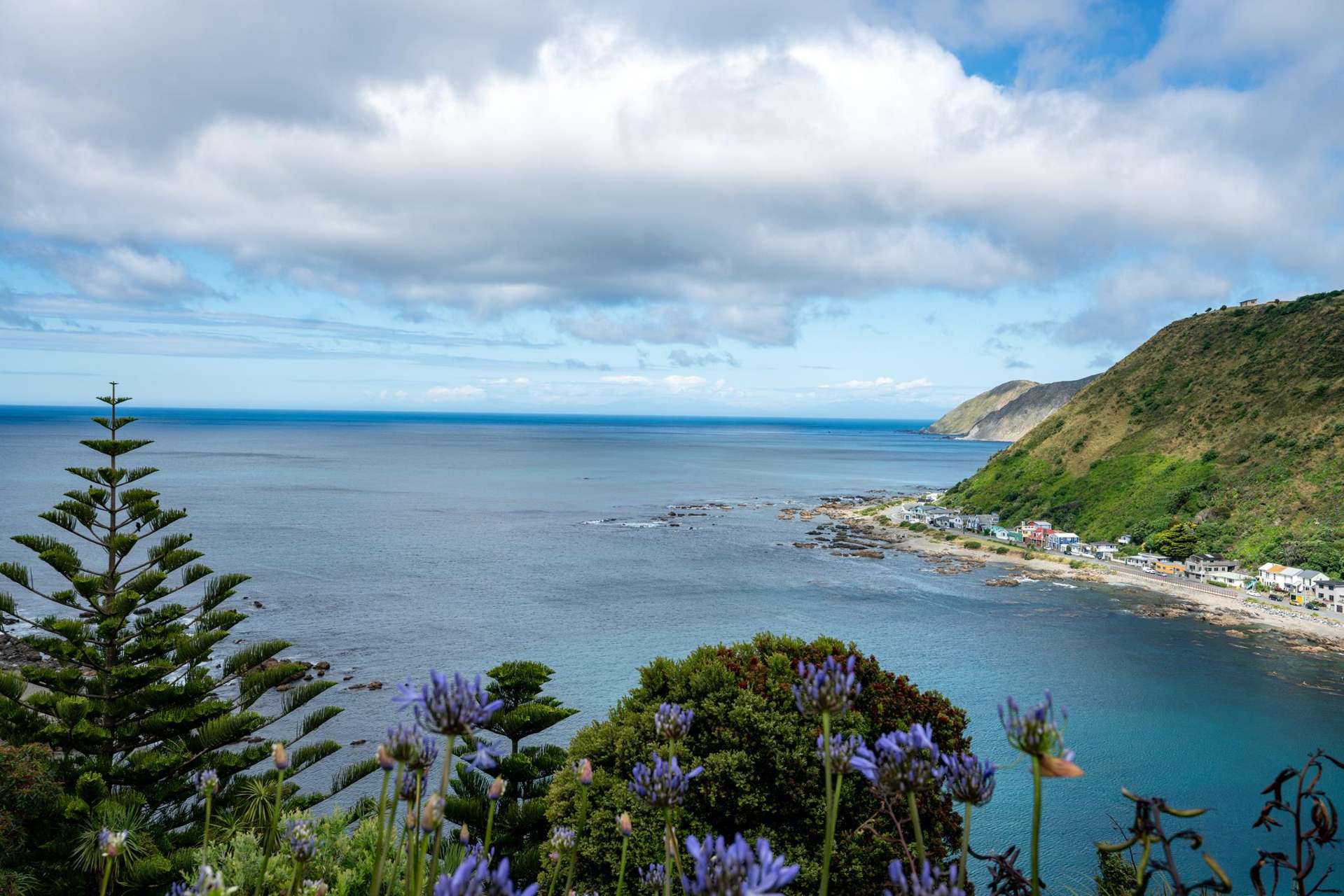 28 Welland Place Island Bay_0