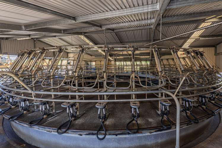 731 Puhipuhi Road Whakapara_14