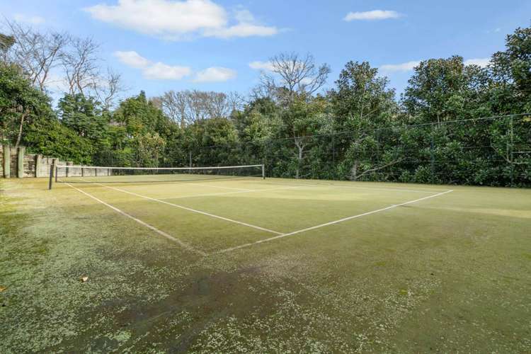 12/27 Birdwood Crescent Parnell_18