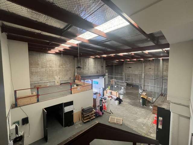 5 Wilkins Street Freemans Bay_4