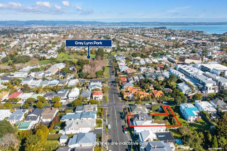 65 Rose Road Grey Lynn_18