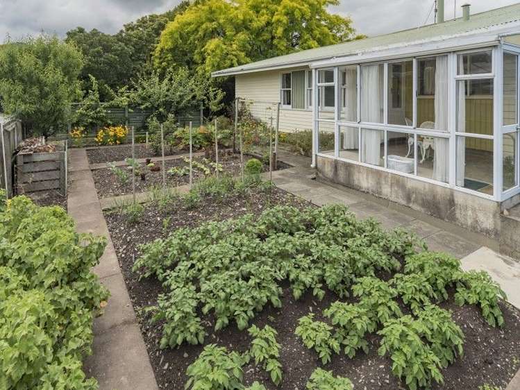 250 Annesbrook Drive Wakatu_13