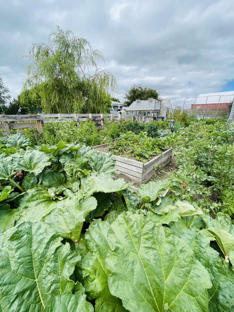 53 Hastings Street Ohai_19