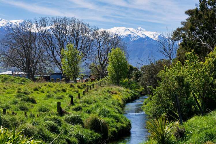 151a Beach Road Kaikoura_2