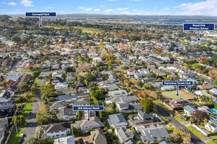 12a Selwyn Road Epsom_16