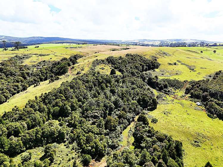 870 Marlborough Road Dargaville Surrounds_11