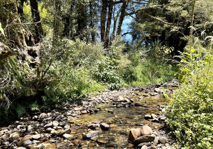 734 Atarau Road Atarau_24