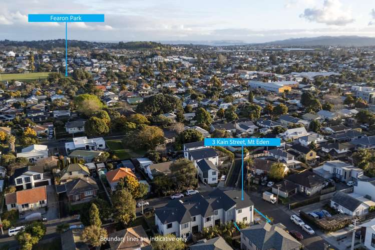 3 Kain Street Mount Eden_23