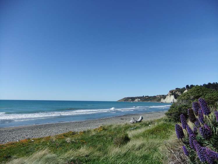 129 Ward Road Cheviot_6