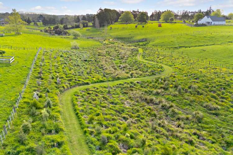 37a William Potter Lane Karaka_43