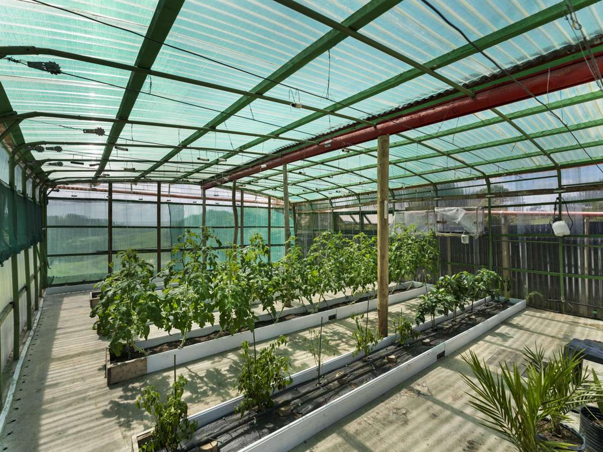 443 Lees Gully Road_4