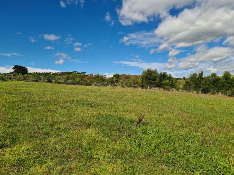 433 Mangapai Road Mangapai and Surrounds_23