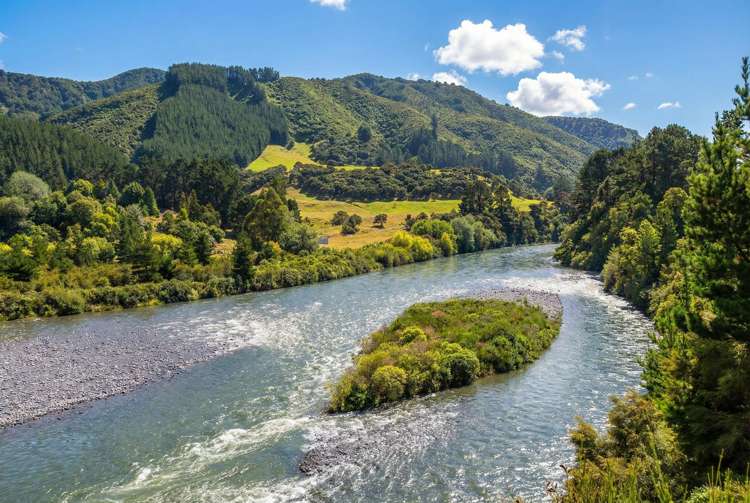 433A Waiohine Gorge Road Carterton_30