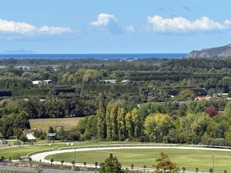 1166 Leigh Road Matakana_5