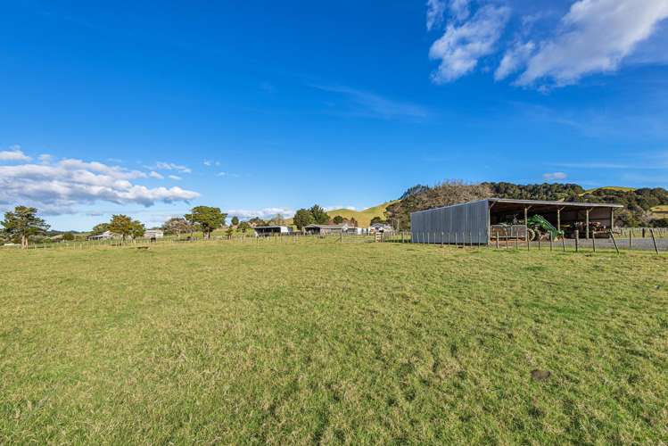 243 Harris Road Glenbervie_37