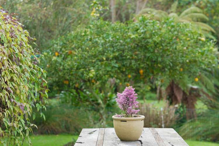 56B Rahui Road Otaki_22