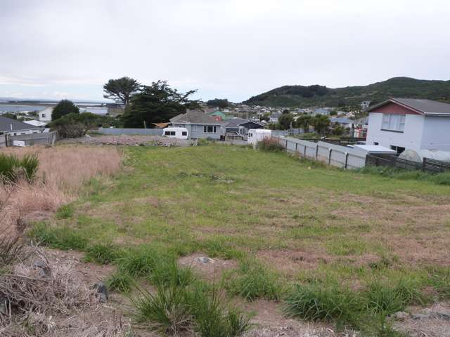 66 Shannon Street Bluff_3