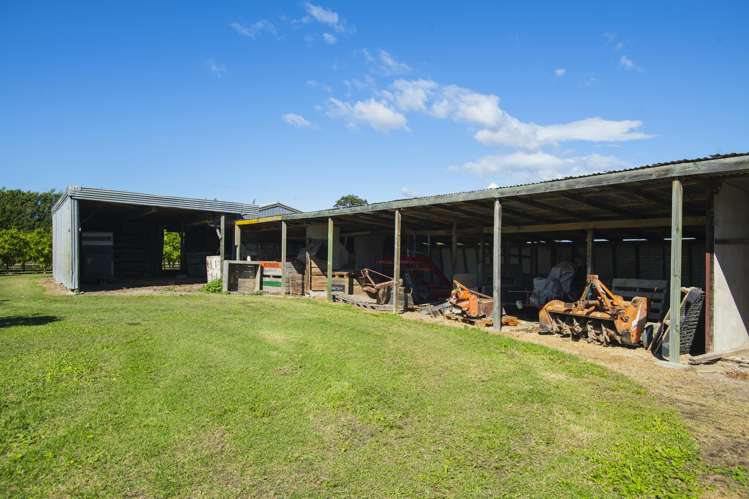 75 Brown Road Ormond_17