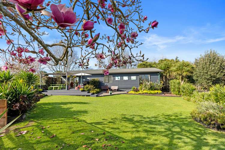 554 Rangiuru Road Te Puke_24