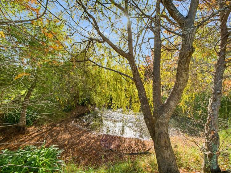 2257 South Head Road Helensville_23