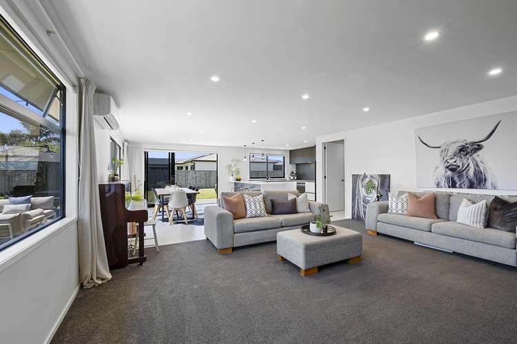 16 Desmond Place Bell Block_6