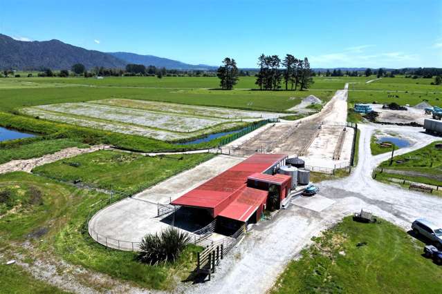 MID-RANGE ALL GRASS - HOKITIKA