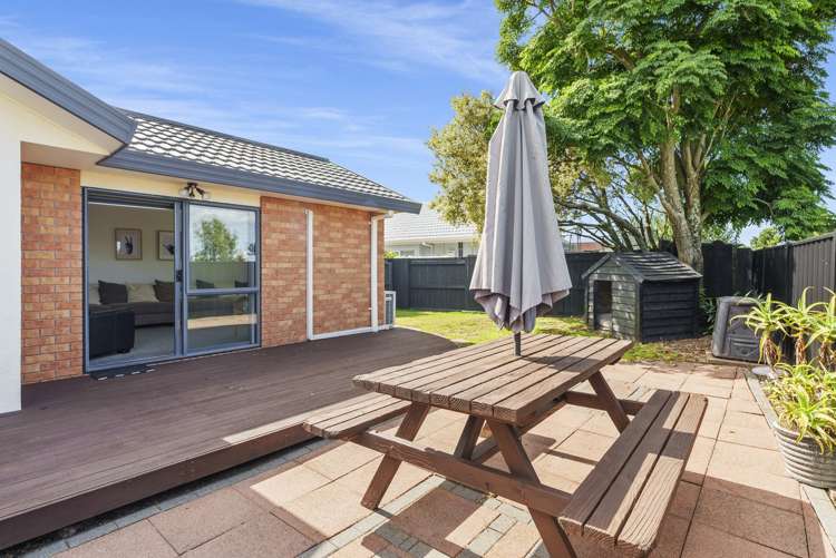 41 Francevic Avenue Mount Maunganui_5