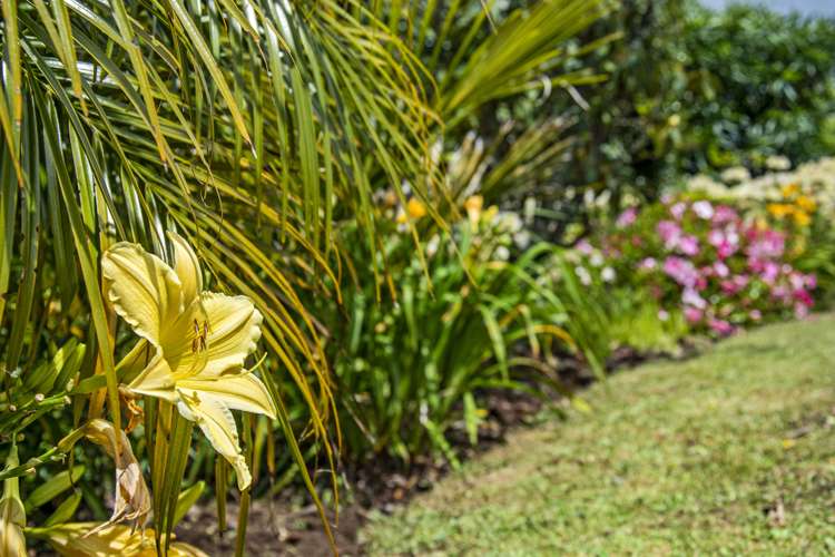 52 Walker Crescent Whau Valley_24