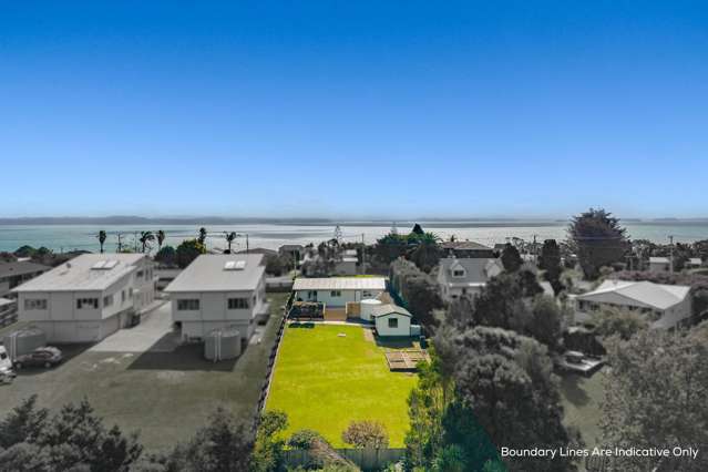 Secure Your Future: Renovated, Freehold Gem