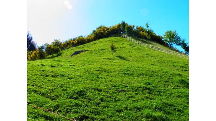 1505 Waikite Valley Road Ngakuru_13