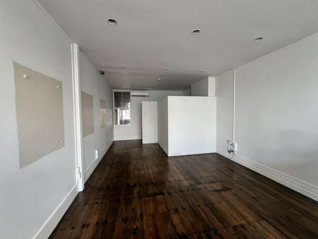 223 Dominion Road Mount Eden_3