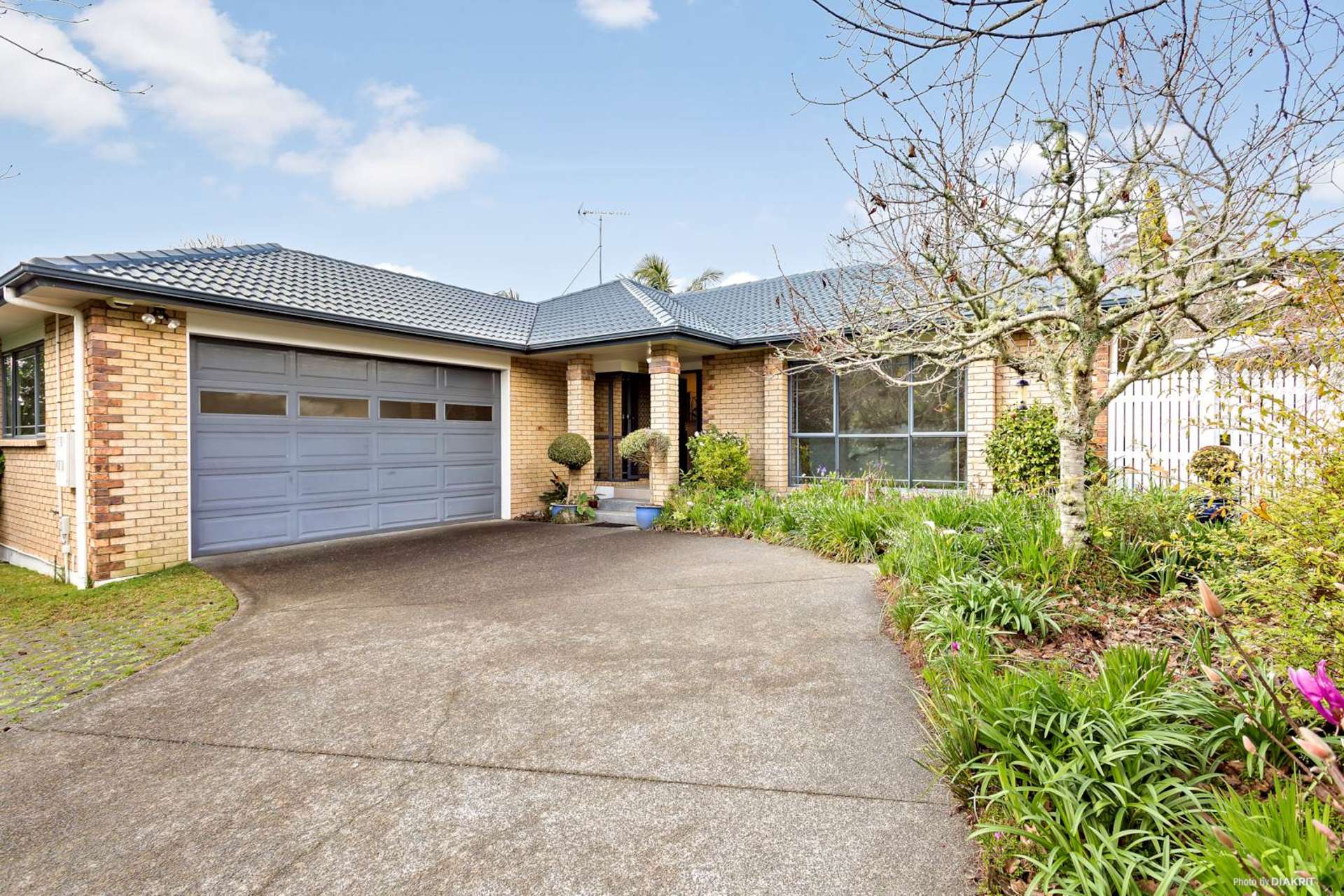 46 Helvetia Drive Browns Bay_0