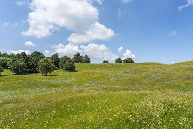 1461 Poihipi Road Oruanui_7