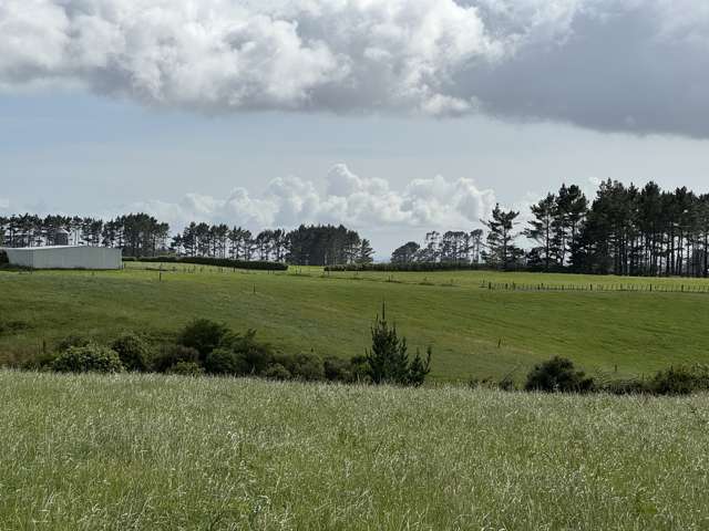 300 Opunake Road Cardiff_3